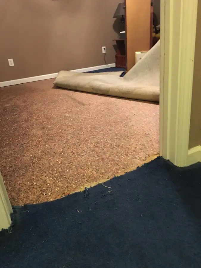 Carpet pad removal revealing water damage during Water Mitigation Services in Ross