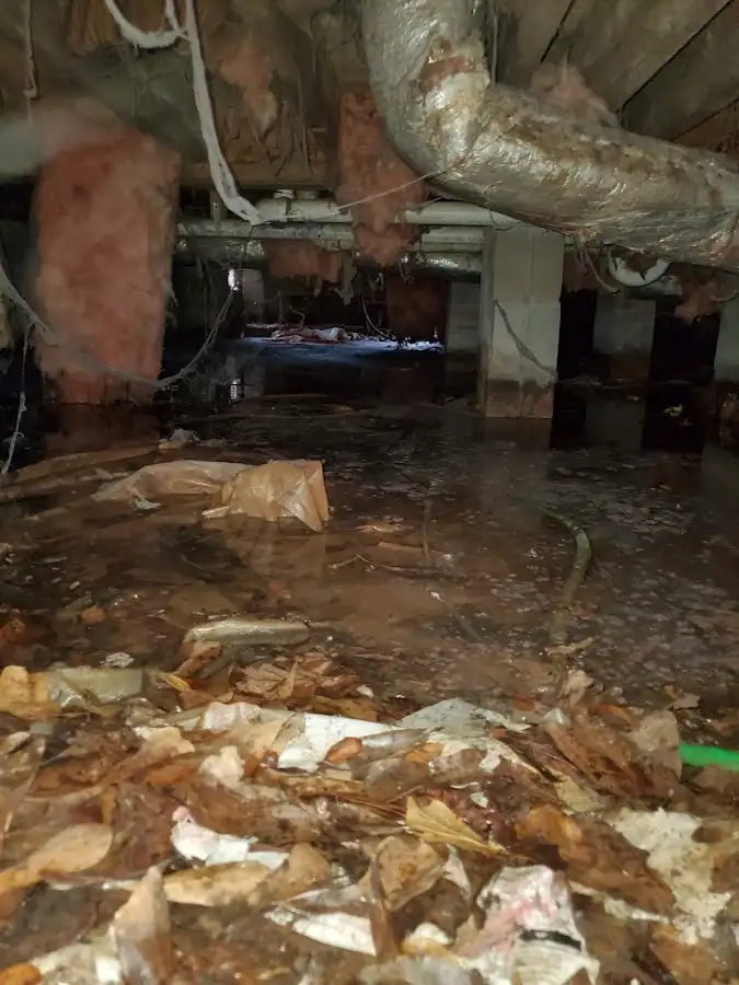 Crawl space flood assessment for Leak Detection & Repair in Ross