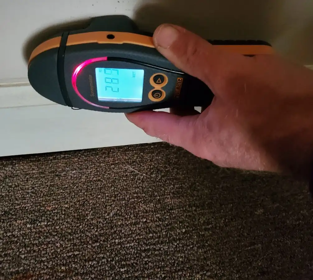 Moisture detection at baseboard during Burst Pipe Cleanup in Ross